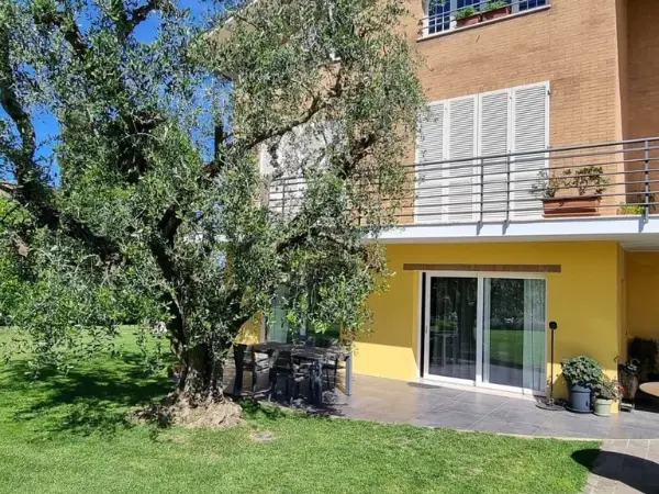 Dettaglio della facciata della villa con un albero di ulivo.