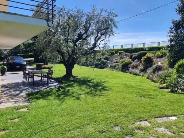 La zona pranzo esterna immersa nel verde e con alberi di ulivo.