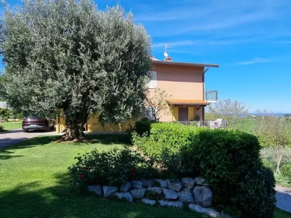 Il giardino e la folta vegetazione che circondano la villa.