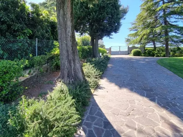 Ampia strada pavimentata nella grande corte privata.