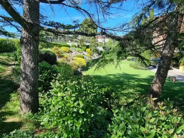 Alberi che creano ombra nella grande corte privata.