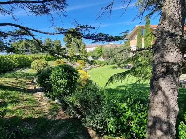 Alberi e vegetazione della corte privata della villa.