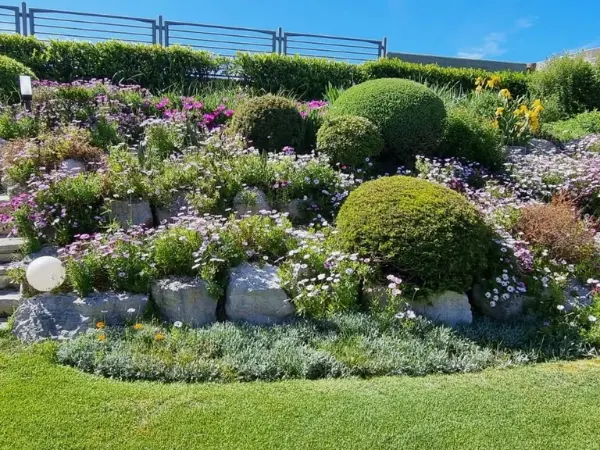 Un altro dettaglio dei cespugli e della vegetazione in cui è immersa la villa.