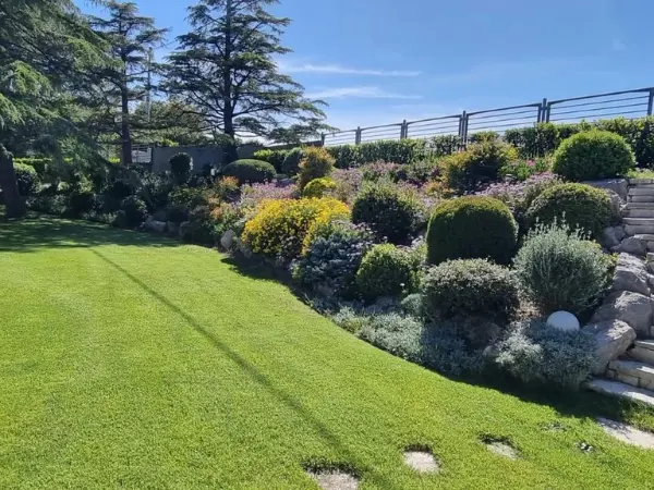 Dettaglio dei cespugli e delle collinette presenti nella corte privata della villa.