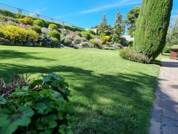 Il magnifico giardino con i suoi alberi curati.