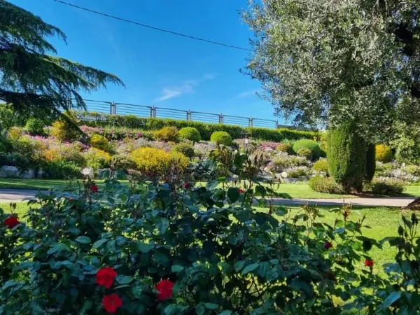 Dettaglio del curatissimo giardino che circonda la villa.